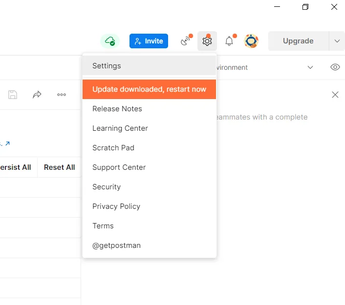 Postman - Settings menu