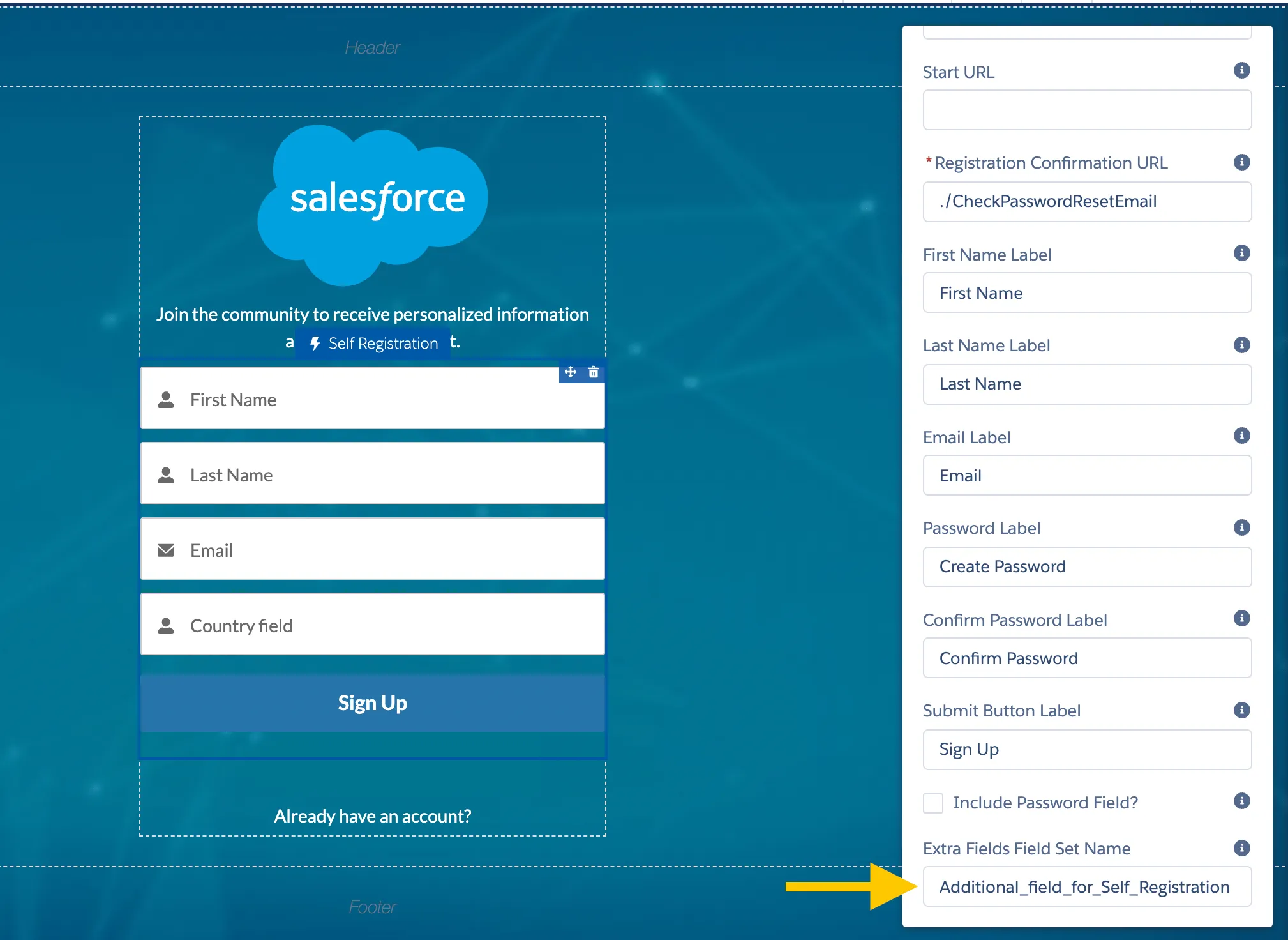 Populating API name of the Field Set 